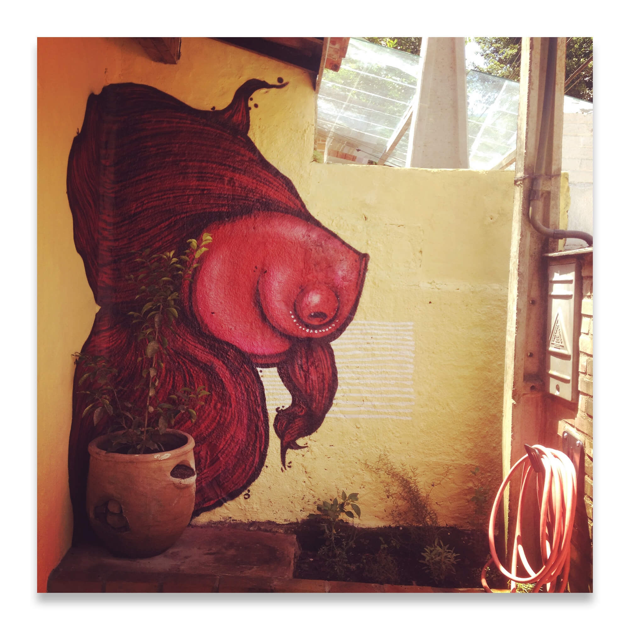 Ilhabela